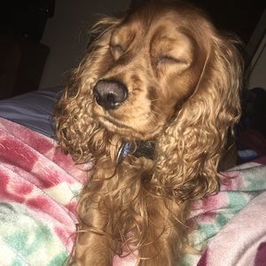 Meet your Posher, Michael